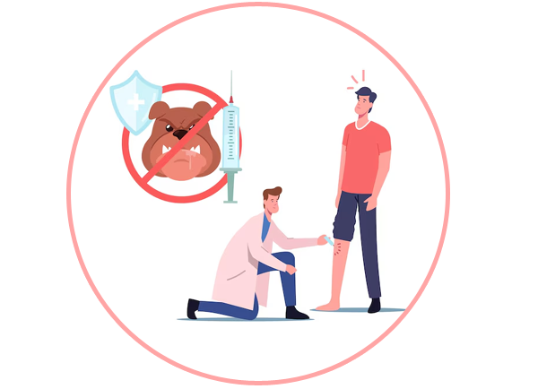 Animal Bite Vaccination